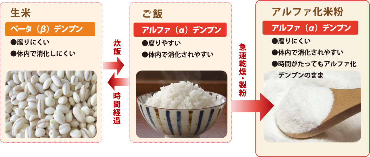 アルファ化米粉の特徴